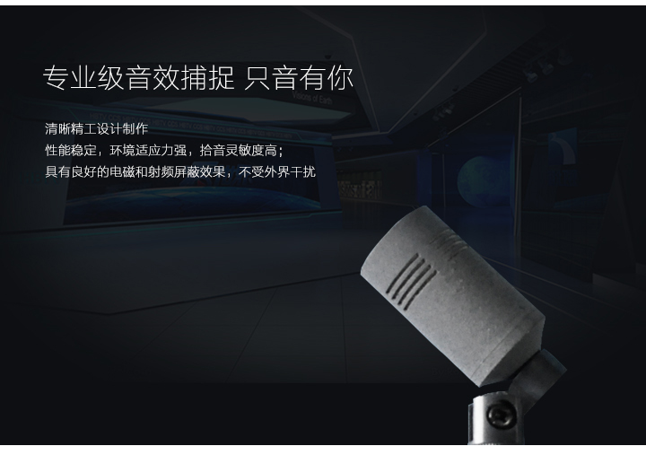 专业级音效捕捉,只音有你 专业级音效捕捉,只音有你