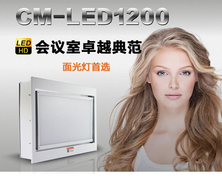 会议室灯光卓越典范