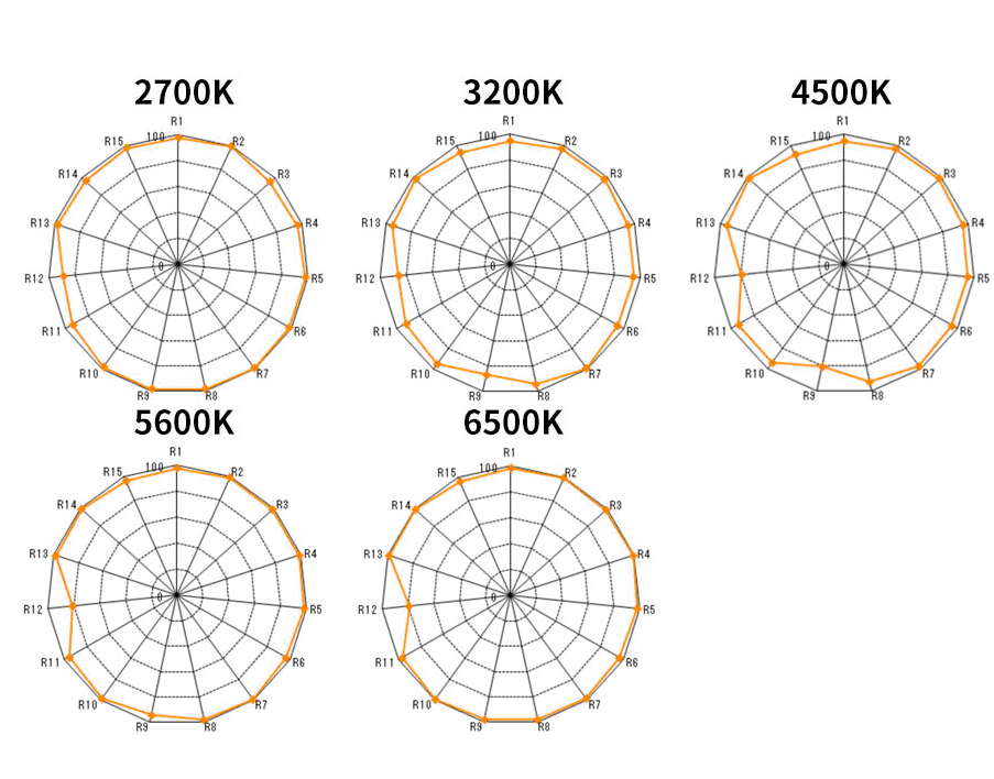 tedian3.png tedian3.png