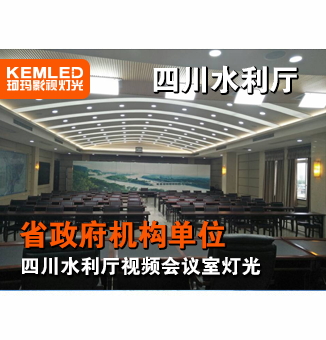 四川水利厅视频会议室灯光工程