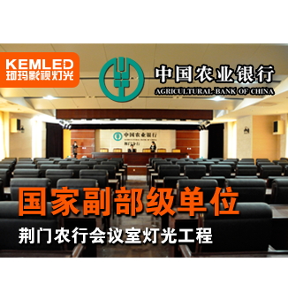 荆门农行会议室灯光工程