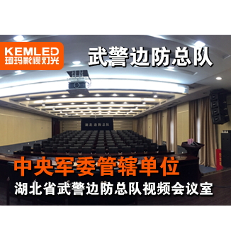 湖北省武警边防总队视频会议室灯光工程