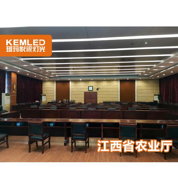 江西省农业农村厅会议室灯光解决方案