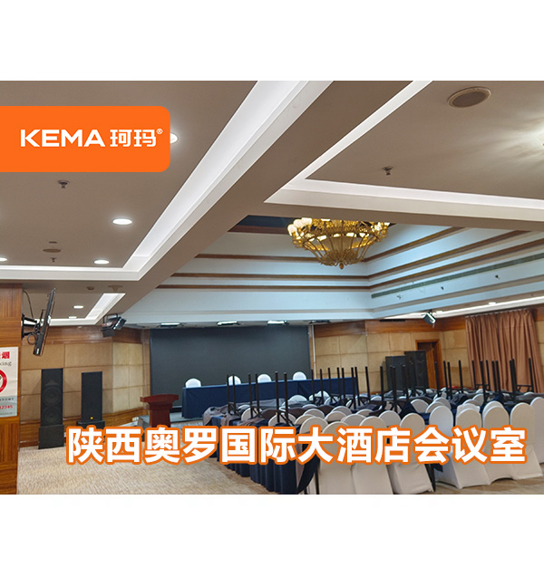 陕西奥罗国际大酒店会议室-秦颂厅领导面部发黑怎么解决？