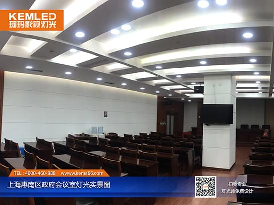 上海惠南区政府视频会议室灯光工程实景图一