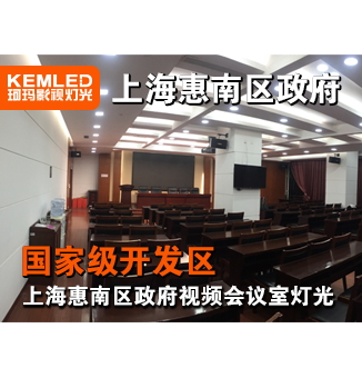 上海惠南区政府视频会议室灯光工程