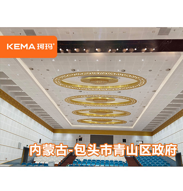 内蒙古包头青山区政府报告厅改造：570平报告厅装什么灯好？